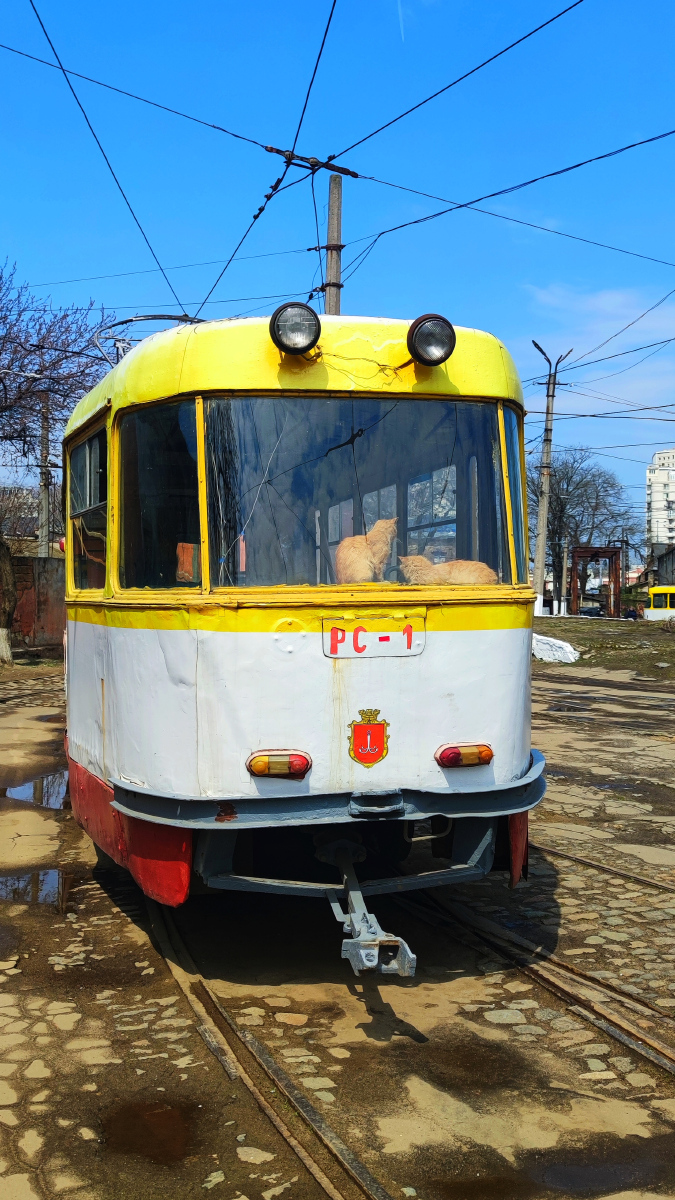 Одесса, Tatra T3SU (двухдверная) № РС-1; Транспорт и животные