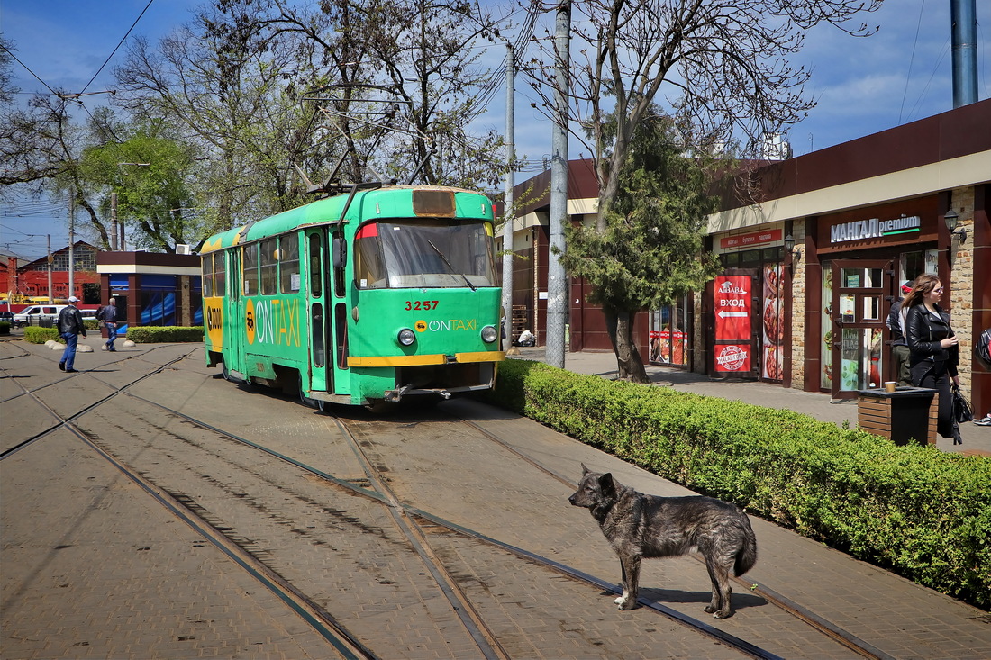 Odesa, Tatra T3SU # 3257; Transport and animals