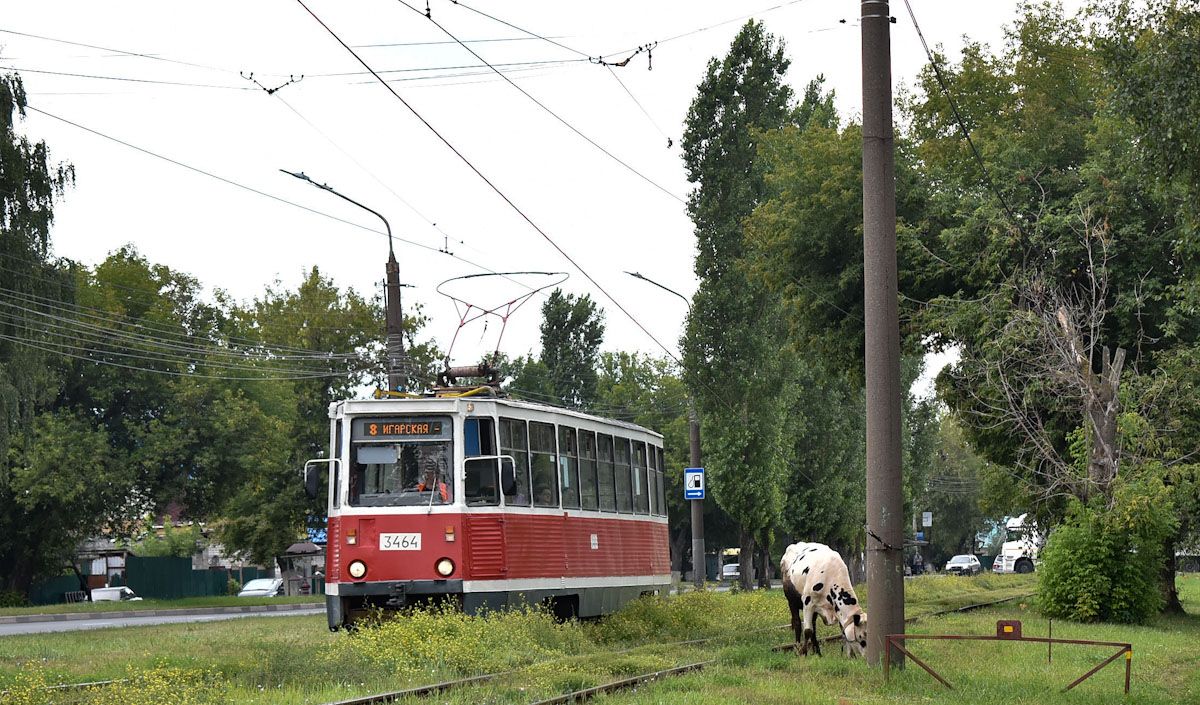 Nizhny Novgorod, 71-605A č. 3464; Transport and animals