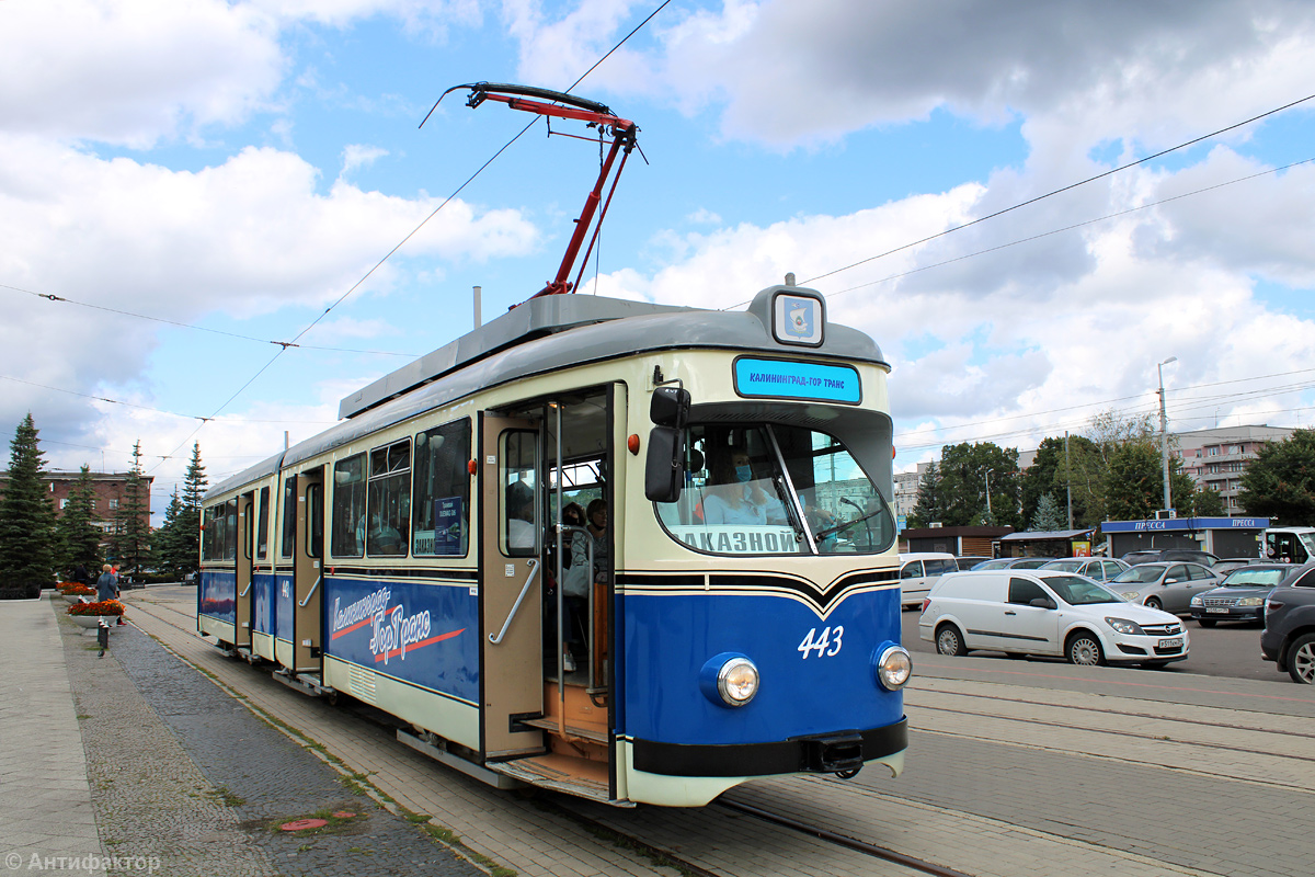 Калининград, Duewag GT6 № 443