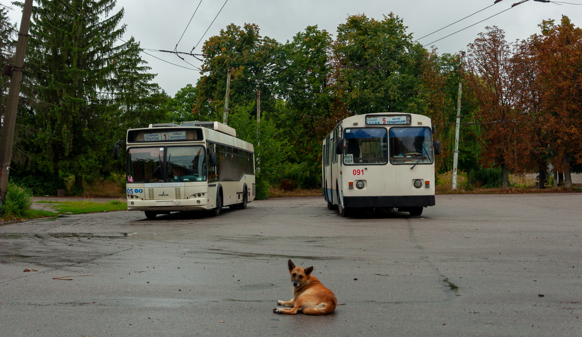 Transport and animals