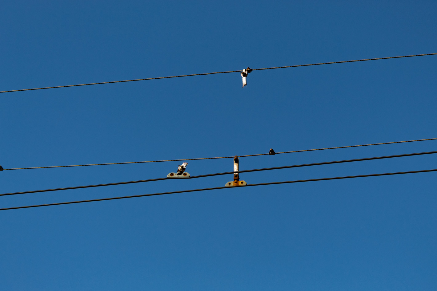 Nalchik — Trolleybus lines