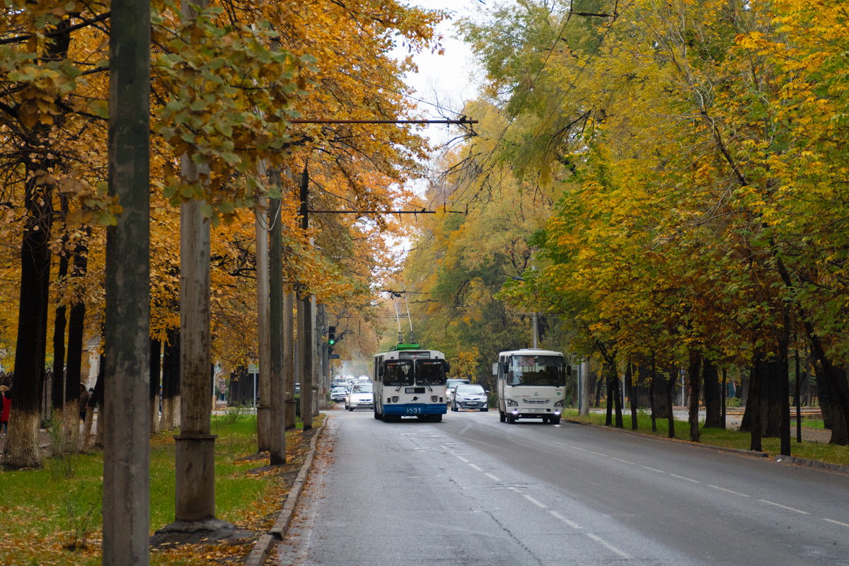 Бишкек — Троллейбусные линии и кольца