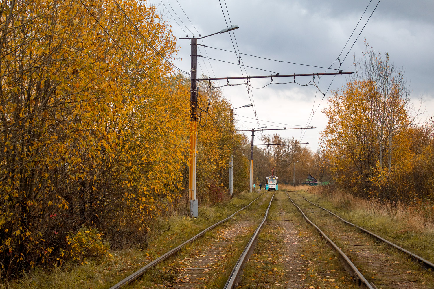 Yaroslavl — Tramway lines