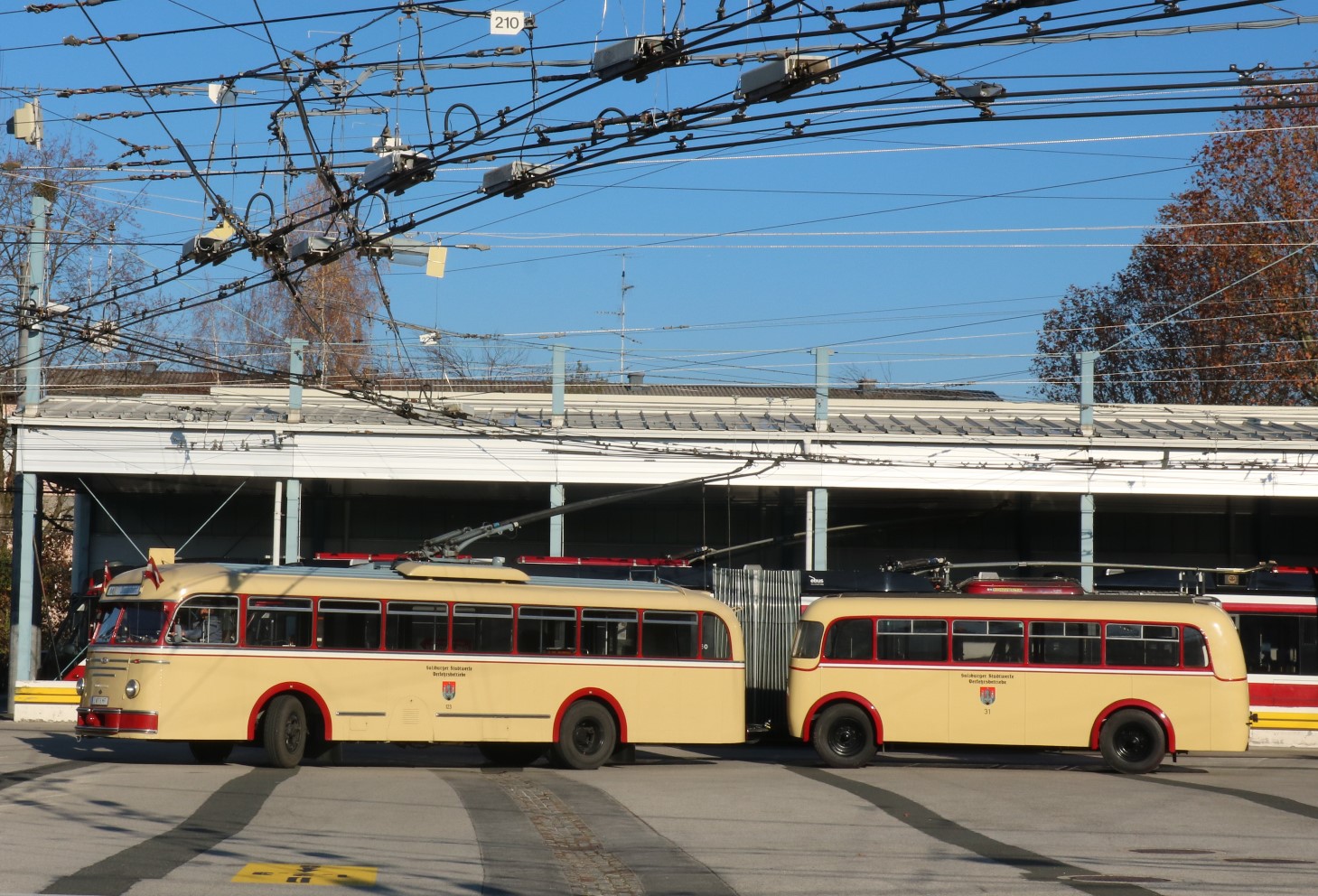 Salzburg, UHIIIs № 123; Salzburg, Kässbohrer PA-4 № 21