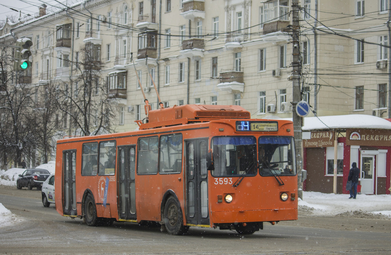 Нижний Новгород, МТрЗ-6223-0000010 № 3593