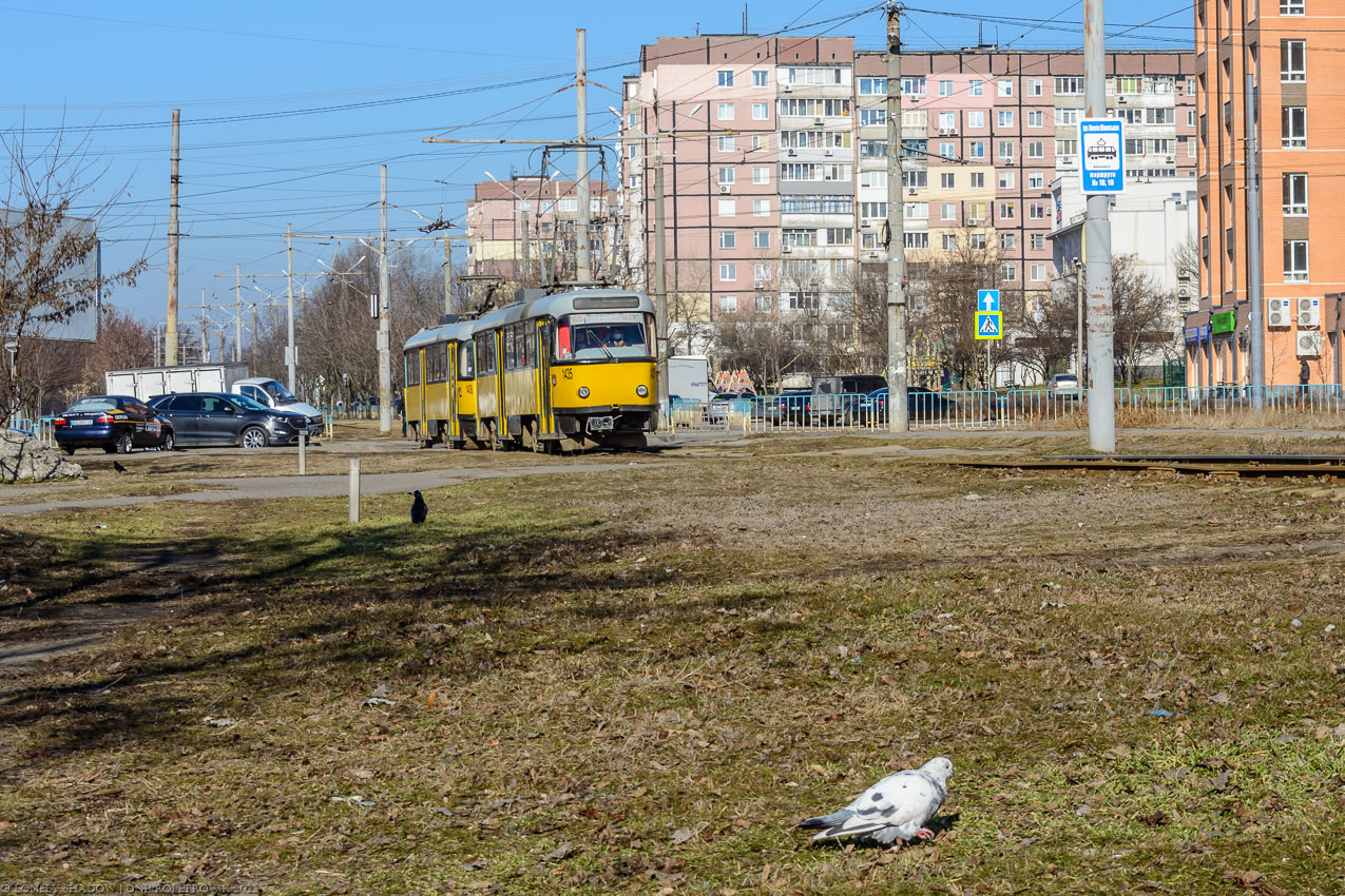 Днепр — Трамвайные линии и инфраструктура; Транспорт и животные