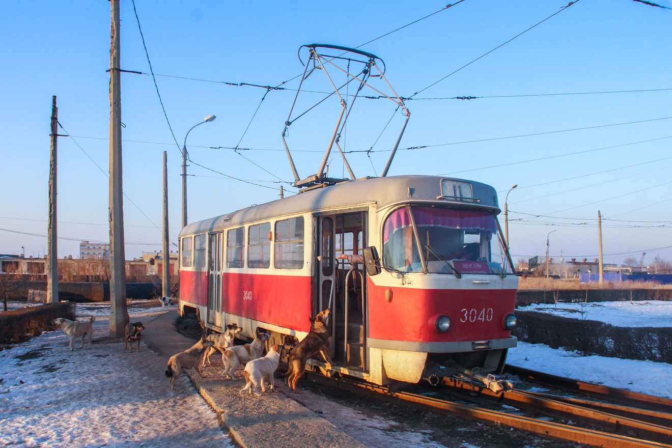 Волгоград, Tatra T3SU № 3040; Транспорт и животные