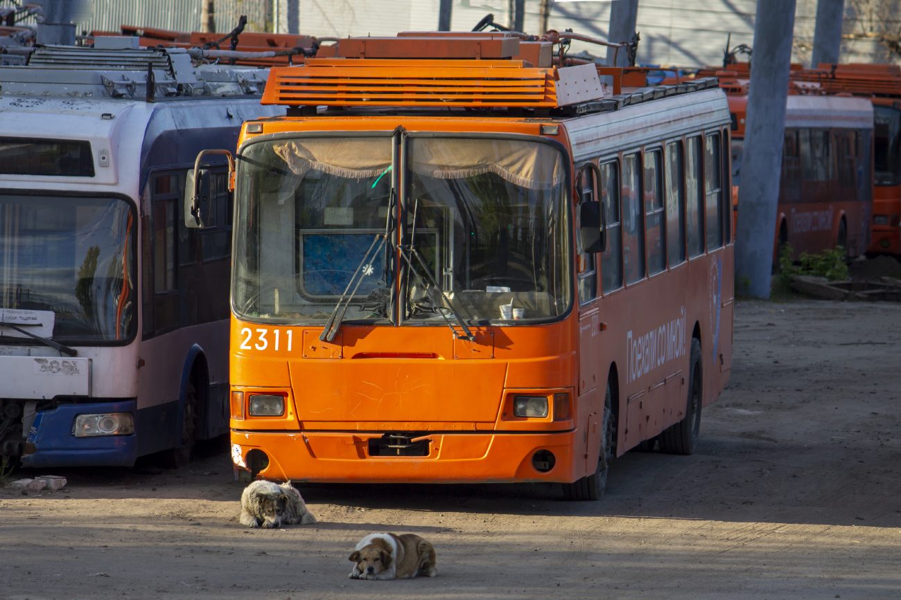 Нижний Новгород, ЛиАЗ-5280 (ВЗТМ) № 2311; Транспорт и животные