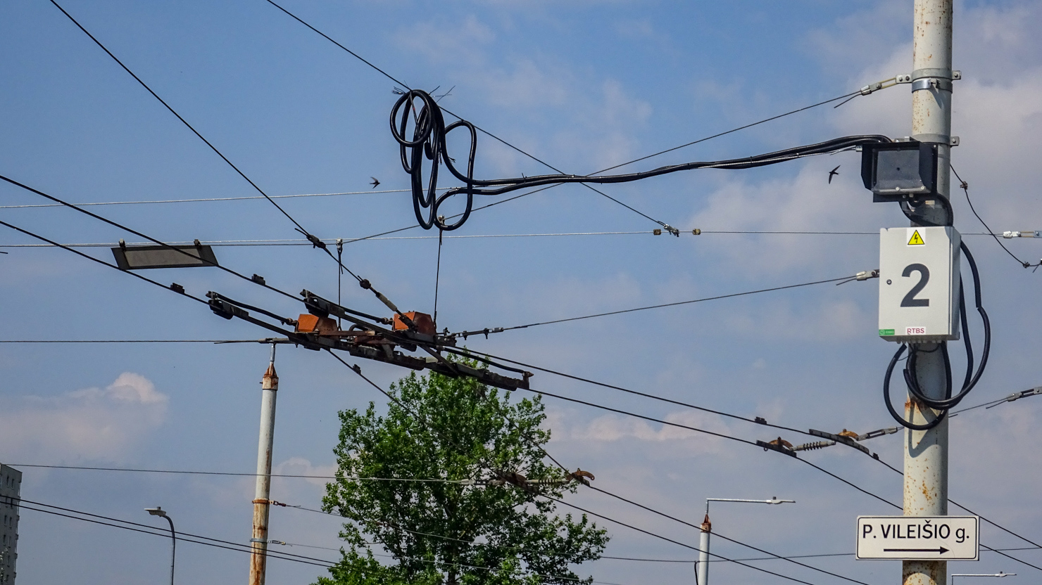 Vilna — Trolleybus wires and infrastructure