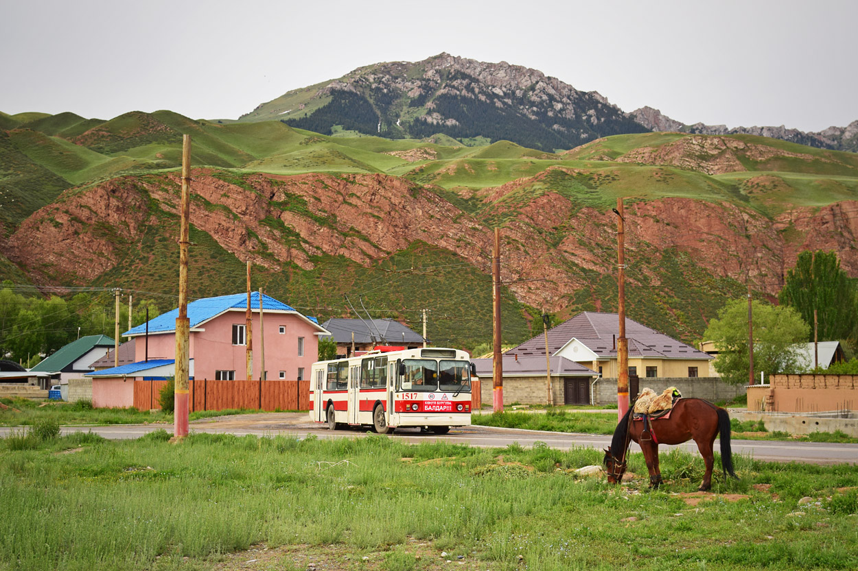 Naryn, ZiU-682G-018 [G0P] # 1517; Transport and animals
