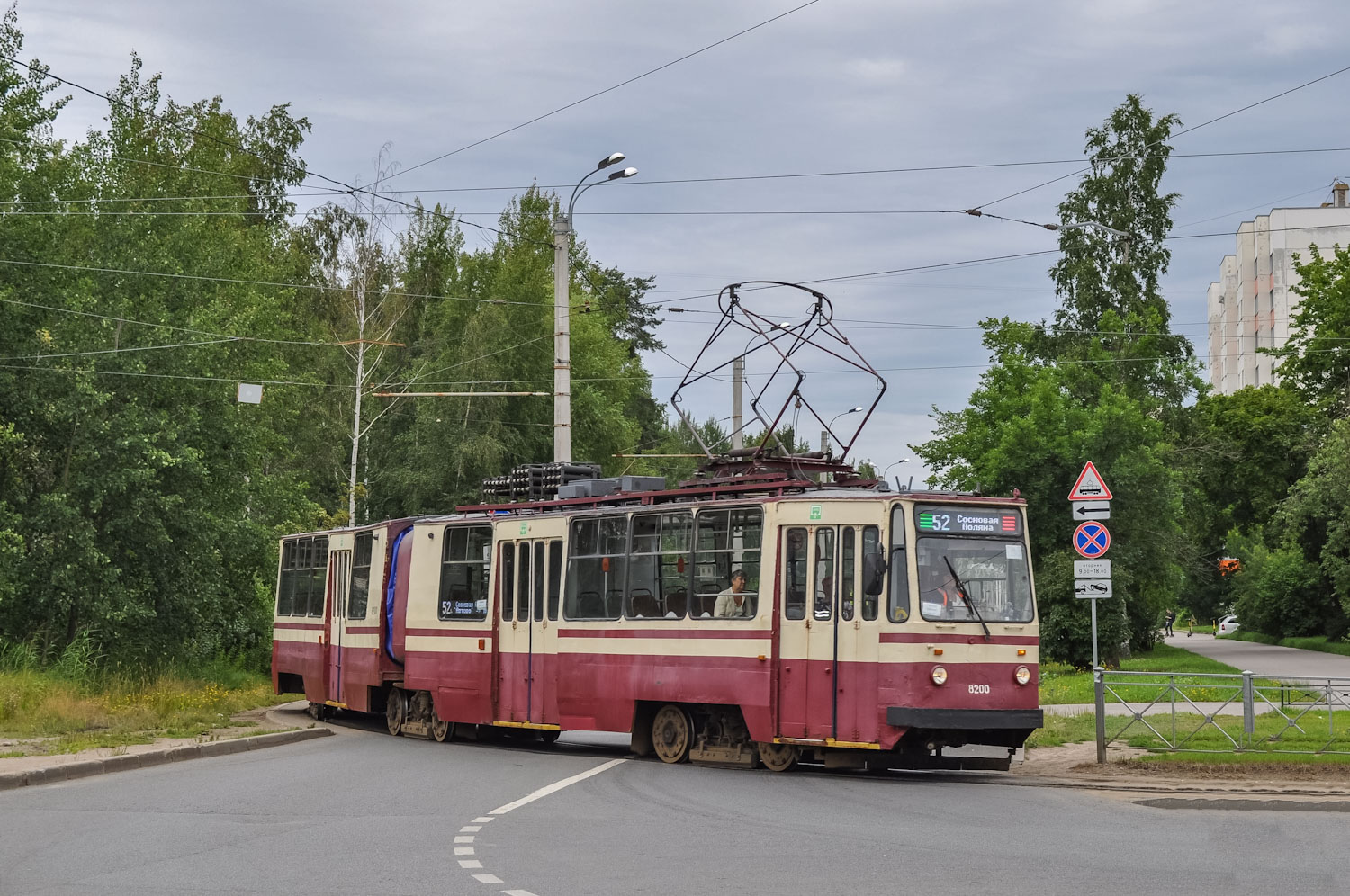 сосновая поляна в санкт петербурге