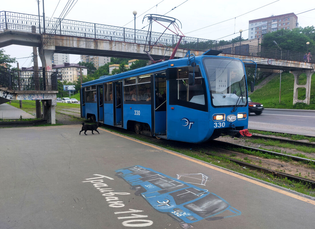 Vladivostok, 71-619K # 330; Transport and animals