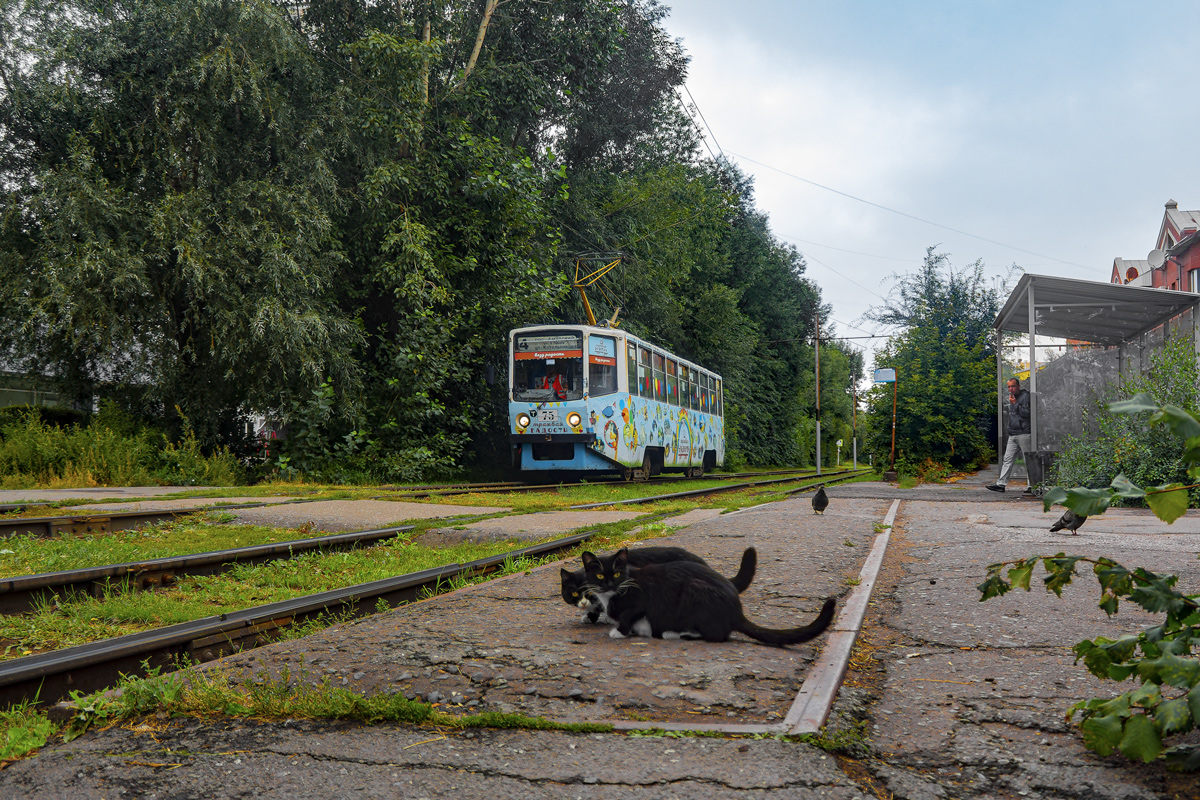 Транспорт и животные