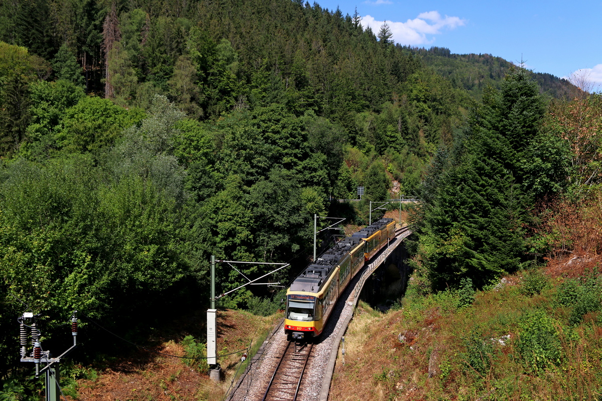 Карлсруэ, Siemens GT8-100D/M-2S № 917; Карлсруэ — Murgtalbahn (Rastatt — Freudenstadt)