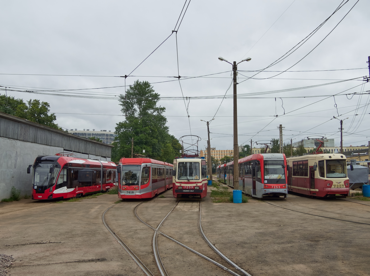 Санкт-Петербург, 71-923М «Богатырь-М» № 7808; Санкт-Петербург, 71-631 № 7418; Санкт-Петербург, ТС-77 № 7239; Санкт-Петербург, ЛМ-68М3 № 7253; Санкт-Петербург, ЛМ-68М2 (мод. СПб ГЭТ) № 7657