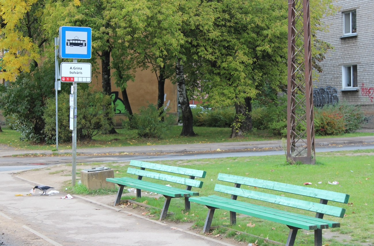 Рига — Разные фотографии; Рига — Трамвайные линии и инфраструктура; Транспорт и животные