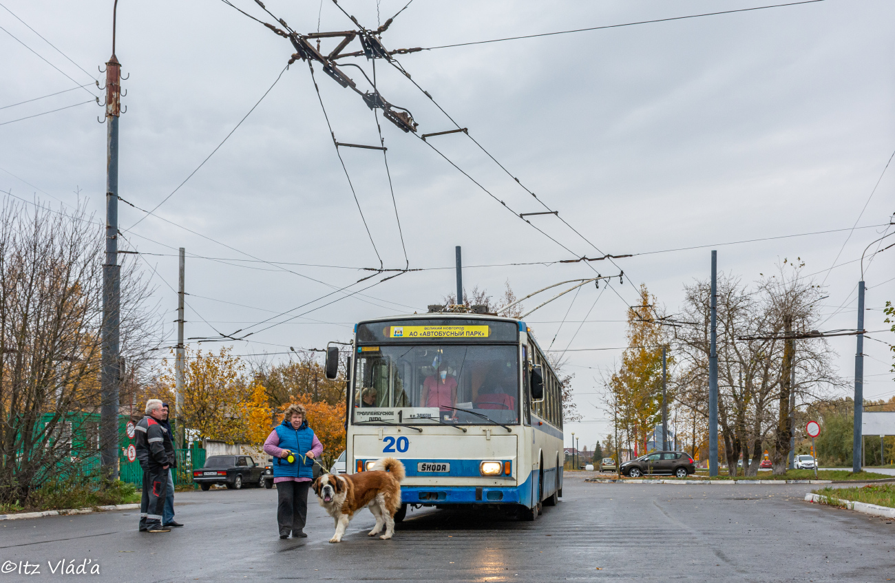 Великий Новгород, Škoda 14TrM (ВМЗ) № 20; Транспорт и животные