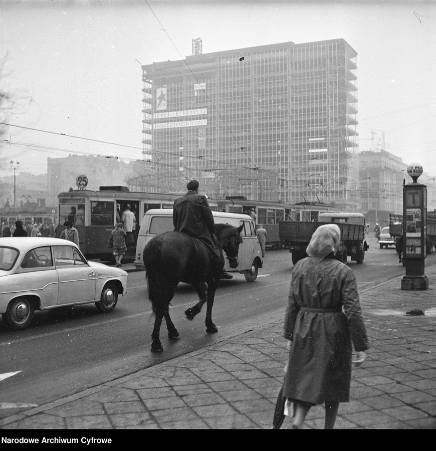 Варшава — Старые фотографии; Транспорт и животные