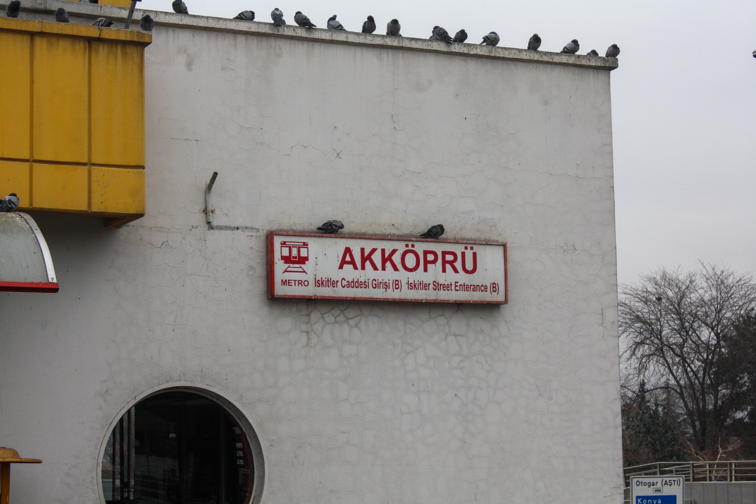 Анкара — Метрополитен — Красная линия; Транспорт и животные