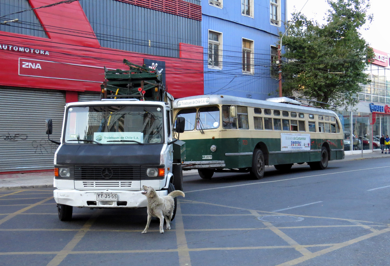 Вальпараисо, Pullman-Standard TC-48 № 723; Транспорт и животные