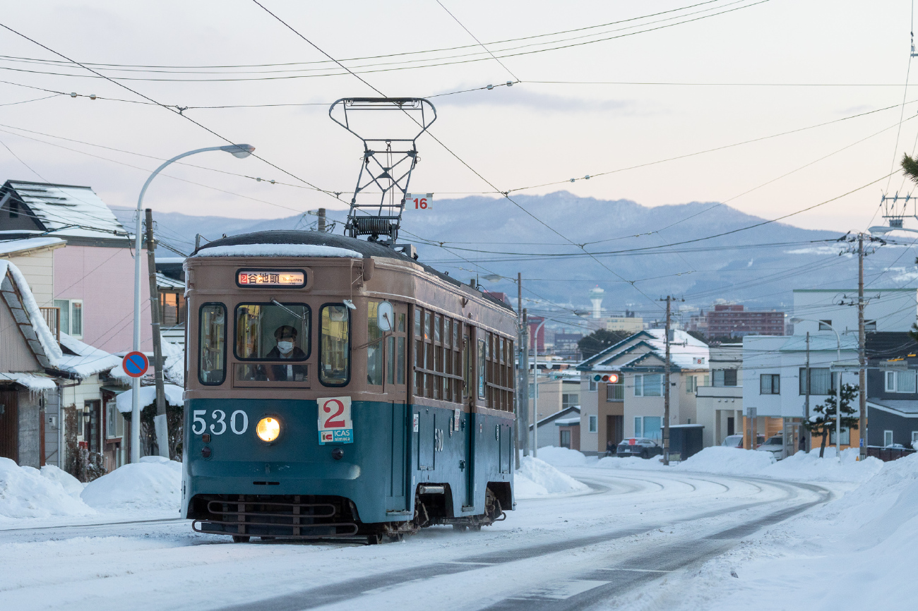 Хакодате, Nippon Sharyō Hakodate series 500 № 530