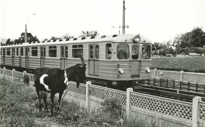 Kyiv — Metro — Vehicles — Type E*; Kyiv — Metro — Line M1 (red); Transport and animals