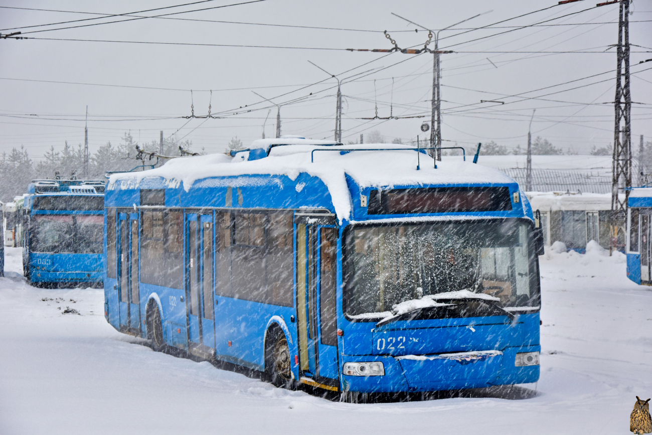 Дзержинск, СВАРЗ-6235.01 (БКМ 32100М) № 022