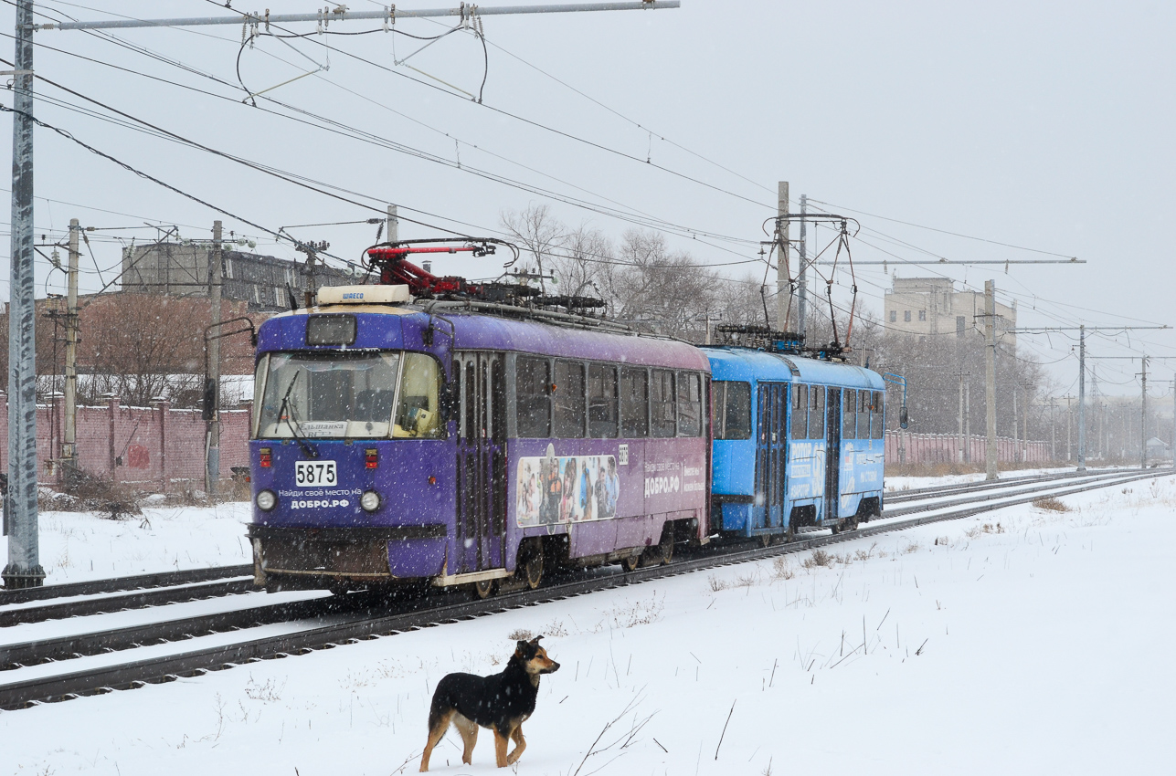 Волгоград, МТТА-2 № 5875; Транспорт и животные