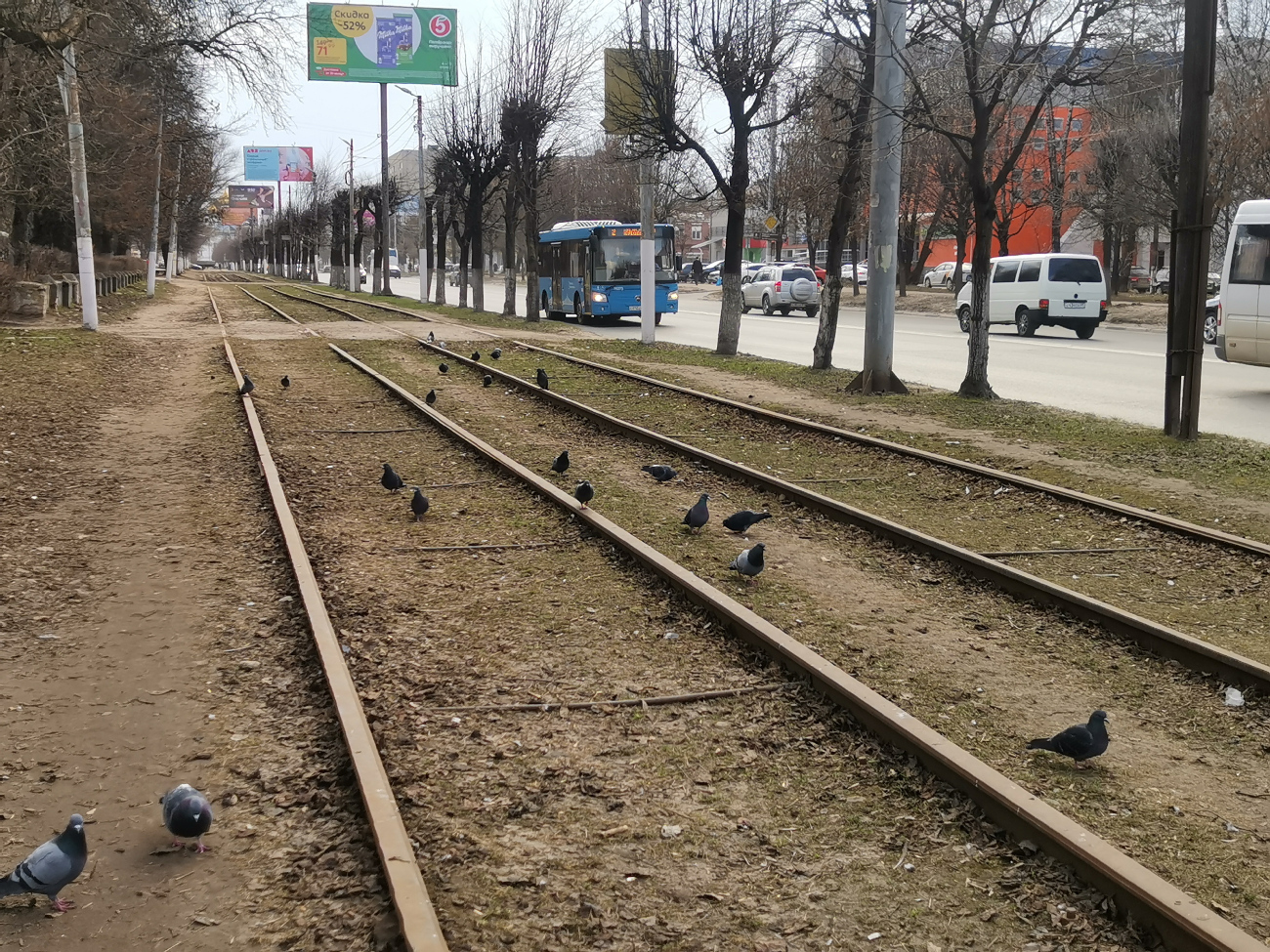 Тверь — Закрытые трамвайные линии; Транспорт и животные