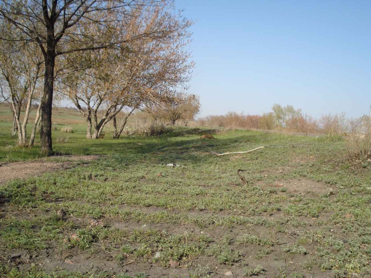 Karaganda — Tram lines