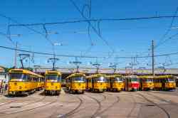 Dresden, Tatra T4D-MT # 224 263; Dresden, Tatra T4D-MT # 224 267; Dresden, Tatra T4D # 2000; Dresden, Tatra T4D-MT # 224 277; Dresden, Tatra T4D-MI # 201 009; Dresden, Tatra T4D-MS # 201 006; Dresden, Tatra T4D-MT # 224 269; Dresden, Tatra T4D-MT # 224 201; Dresden — Final farewell to Tatra tramcars after 56 years of service (03.06.2023)