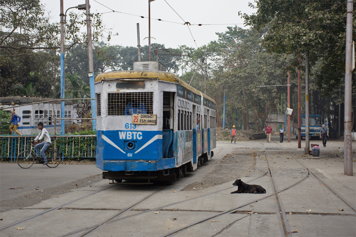 Калькутта, Calcutta Class N № 613; Транспорт и животные
