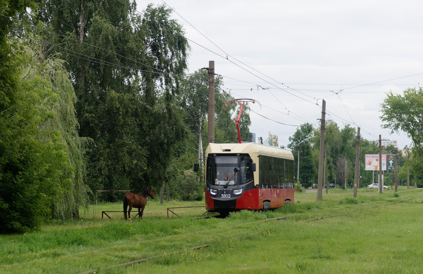 Нижний Новгород, БКМ Т811 «МиНиН» № 3802; Транспорт и животные