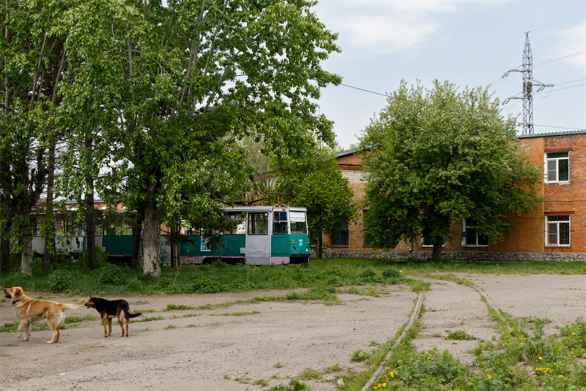 Komsomolsk-na-Amur — Mothballed Tramway System (from 01.10.2018); Transport and animals