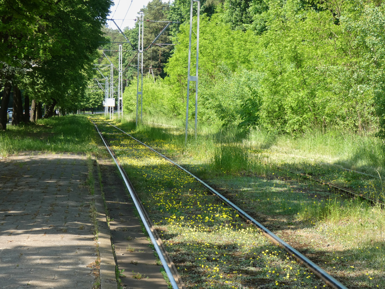 Щецин — Трамвайные линии и инфраструктура