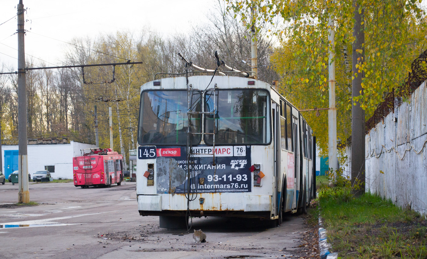 Ярославль, Тролза-62052.01 [62052Б] № 145; Транспорт и животные