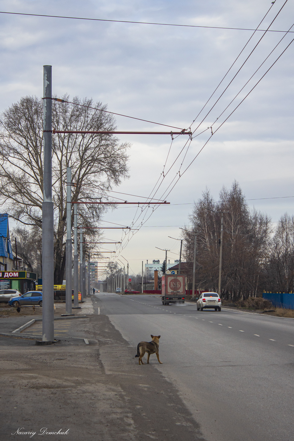 Транспорт и животные; Ленинск-Кузнецкий — Троллейбусные линии и кольца
