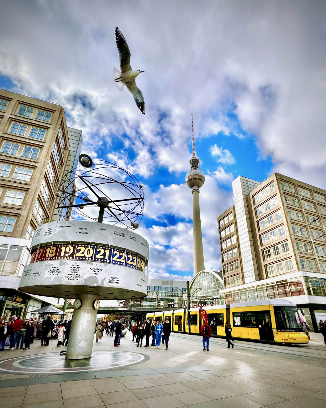 Transport and animals