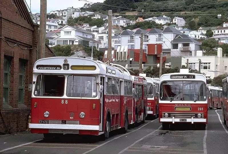 Wellington, Scammell Lorries # 88; Wellington, CWI Hunter B40D # 255