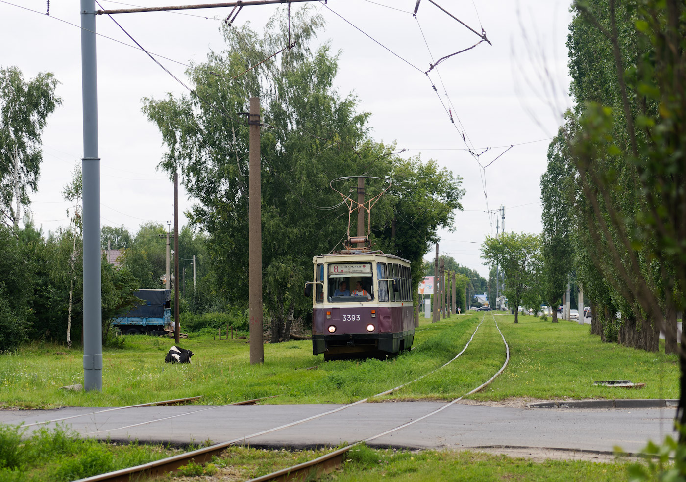 Нижний Новгород, 71-605 (КТМ-5М3) № 3393; Транспорт и животные