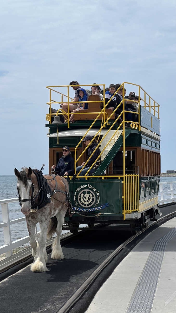 Victor Harbour, Horse car Nr. 3