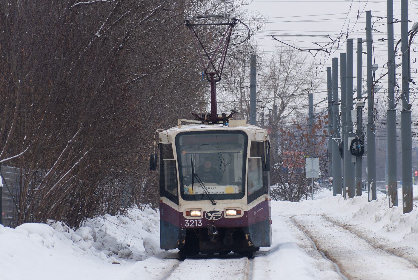 Нижний Новгород, 71-619А-01 № 3213