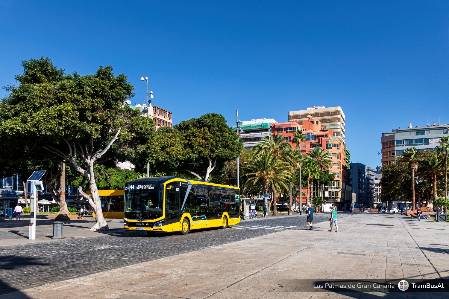 Las Palmas de Gran Canaria, MAN 12C Lion's City 12 E NL367 Nr 859