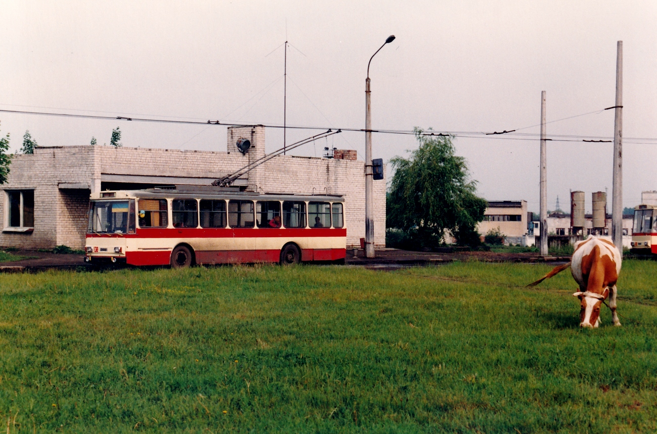 Івано-Франківськ, Škoda 14Tr02 № 130; Транспорт и животные