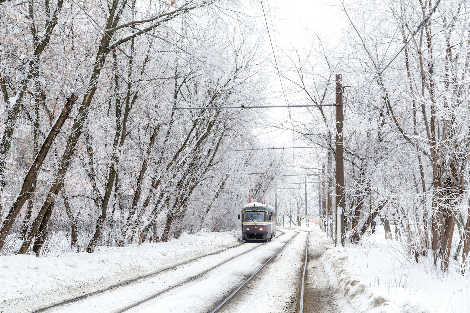 Niżni Nowogród — Tram lines