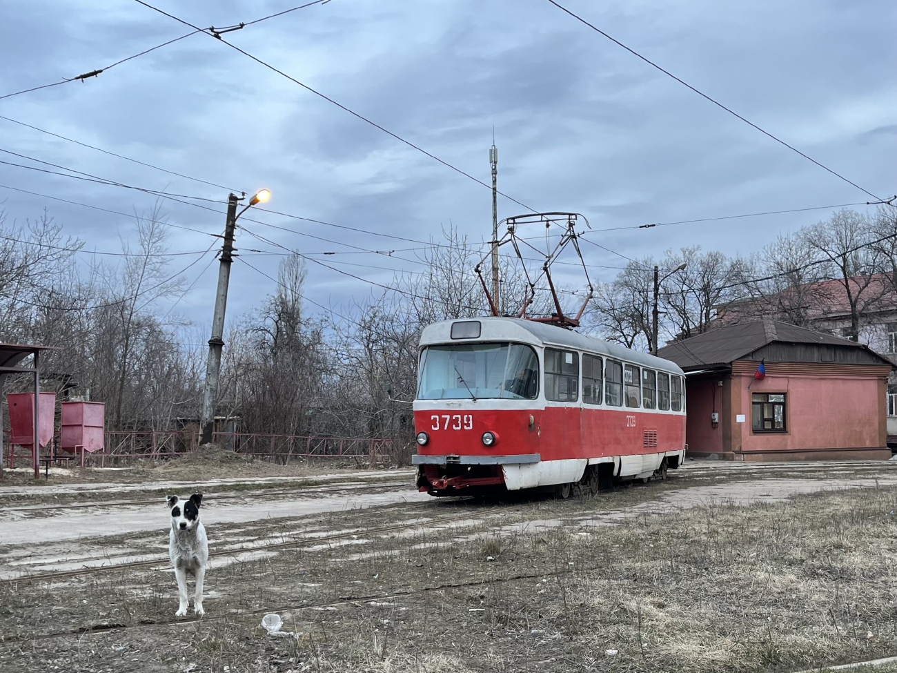 Donetsk, Tatra T3SU (2-door) № 3739; Transport and animals