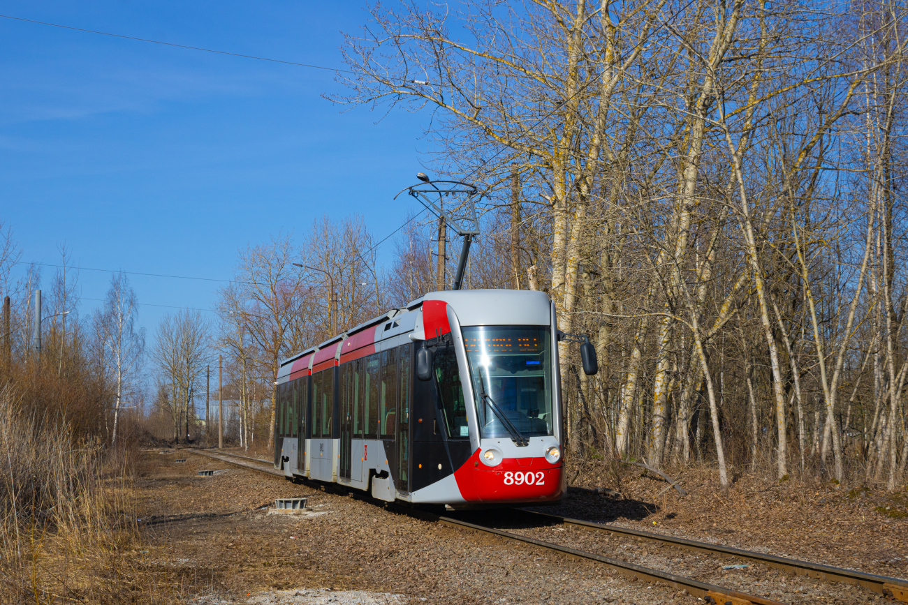 Szentpétervár, 71-801 (Alstom Citadis 301 CIS) — 8902; Szentpétervár — Tram lines and infrastructure