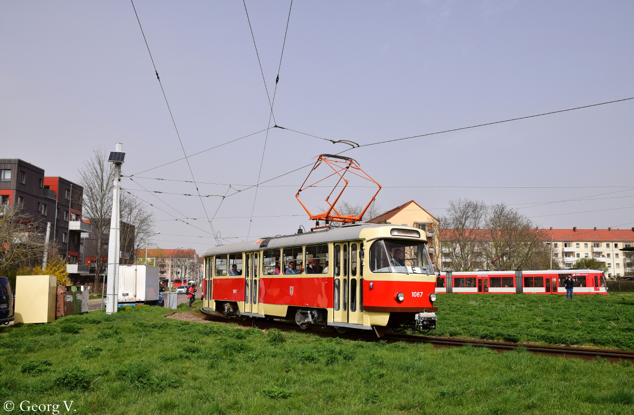 Галле, Tatra T4D № 1067