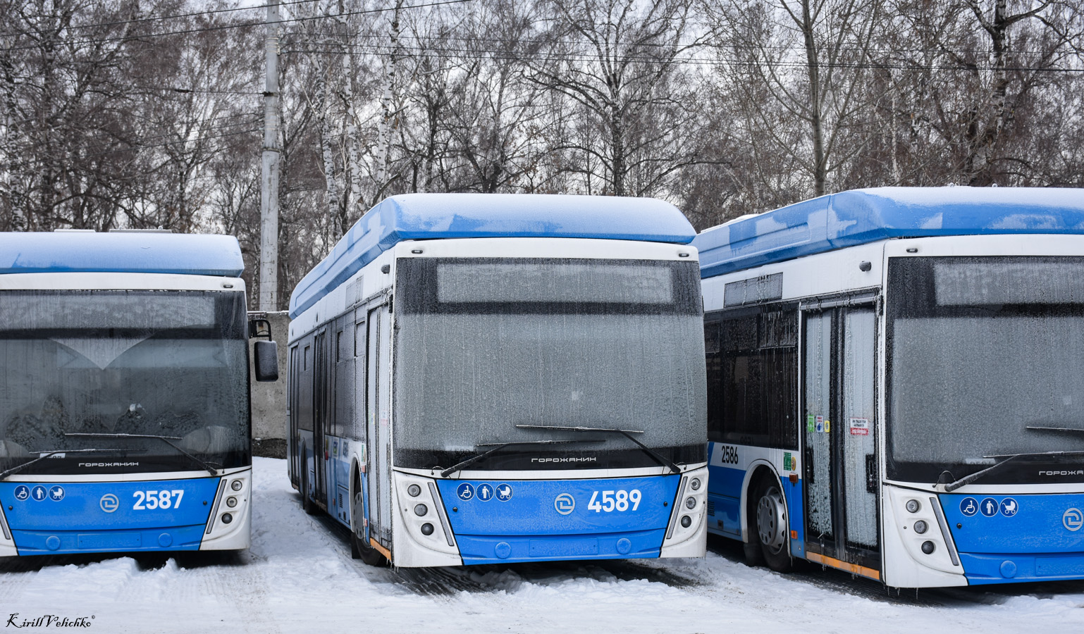 Novossibirsk, UTTZ-6241.01 “Gorozhanin” N°. 4589